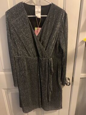 Serra Shimmering Silver Wrap Dress with Drape Waist- Size M